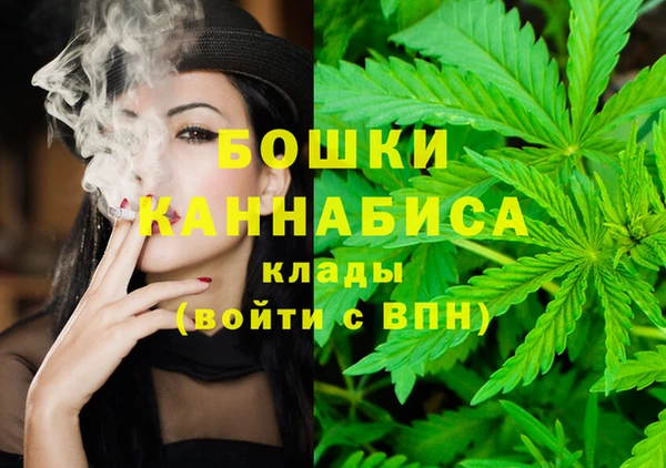 сатива Каменск-Шахтинский