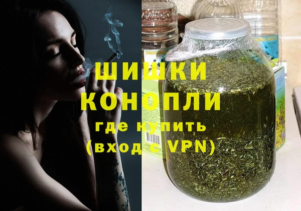 сатива Каменск-Шахтинский