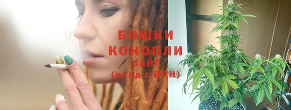 spice Каменка