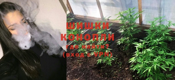 spice Каменка