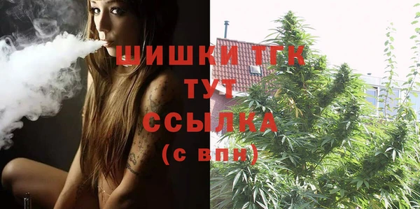 spice Каменка