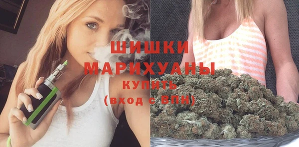 сатива Каменск-Шахтинский