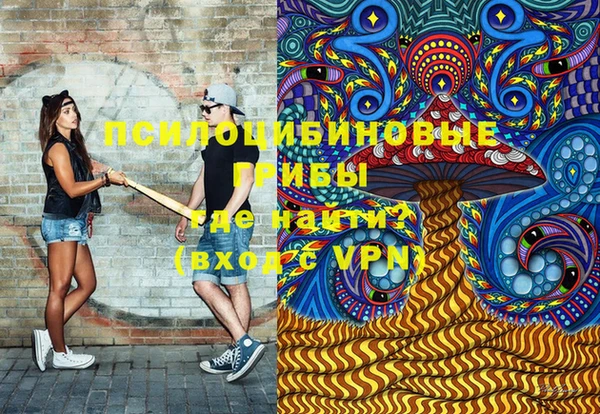 spice Каменка