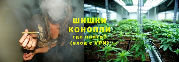сатива Каменск-Шахтинский