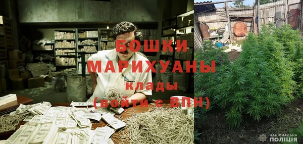 spice Каменка