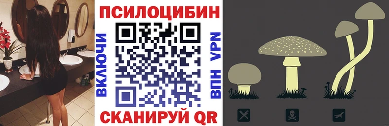 Купить  Кизляр  Галлюциногенные грибы MAGIC MUSHROOMS 