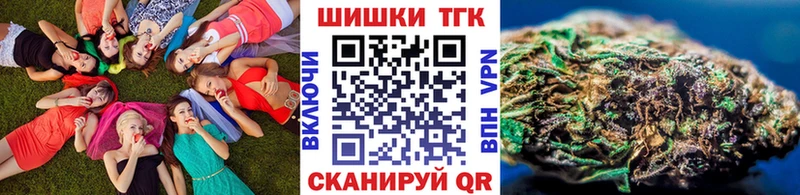 Конопля сатива  Купить закладки  Кизляр 